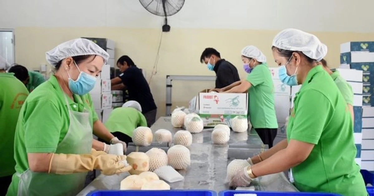 Trường hợp nào bị chấm dứt hưởng trợ cấp thất nghiệp từ 1/1/2026?