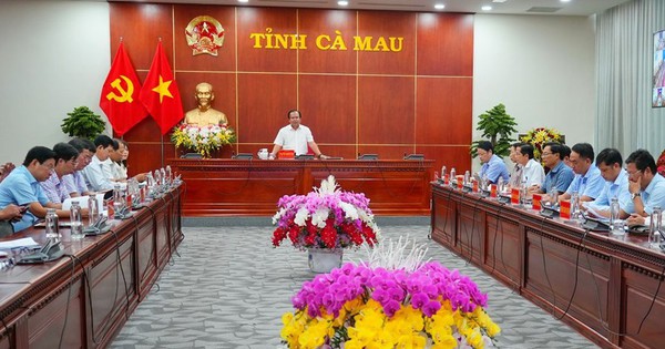 Từ 15/8: Cà Mau giải quyết hồ sơ thủ tục 'không phụ thuộc địa giới hành chính'