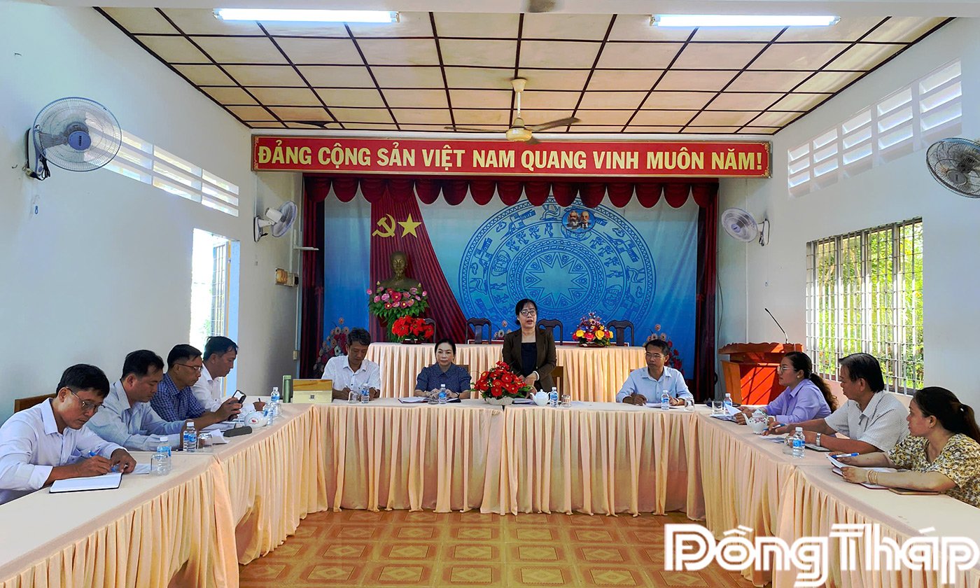 , Chủ tịch Hội Nông dân tỉnh Đồng Tháp Nguyễn Thị Hồng Phượng phát biểu tại buổi làm việc