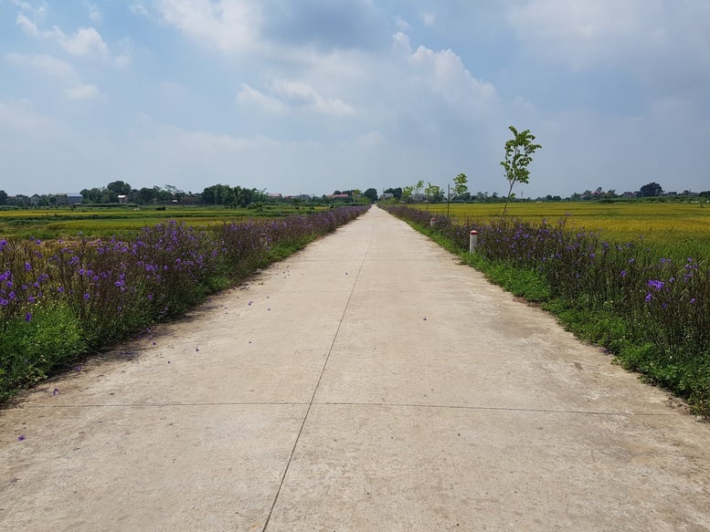 Hà Nội dẫn đầu cả nước về xây dựng nông thôn mới- Ảnh 2.