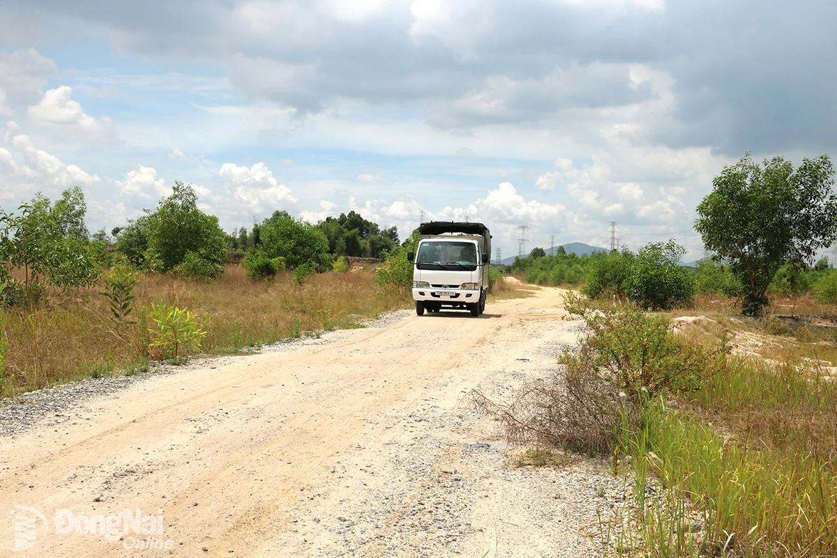 The area where the Phuoc An Industrial Park Project will be implemented. Photo: Vuong The  