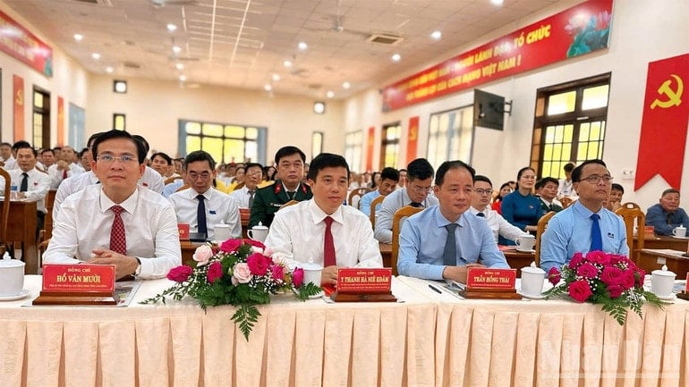 ndo_br_5-dac-khu-phu-quy.jpg