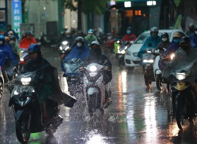 Thời tiết hôm nay (31-7): Mưa dông tại nhiều khu vực trên cả nước. Ảnh minh họa: TTXVN 