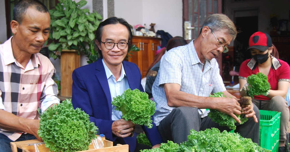 “Tập kết” nông sản biển - rừng - “chìa khóa” nâng cao giá trị nông sản Lâm Đồng. Bài 1: Chuyển đổi để hội tụ vươn mình