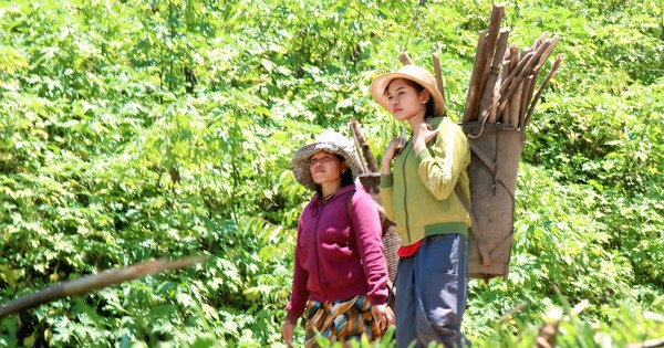 Những bà mẹ thầm lặng "nuôi" con chữ giữa đại ngàn