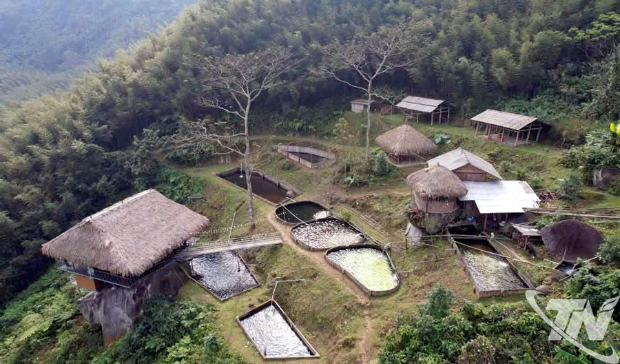 Khát vọng trên núi Hoa