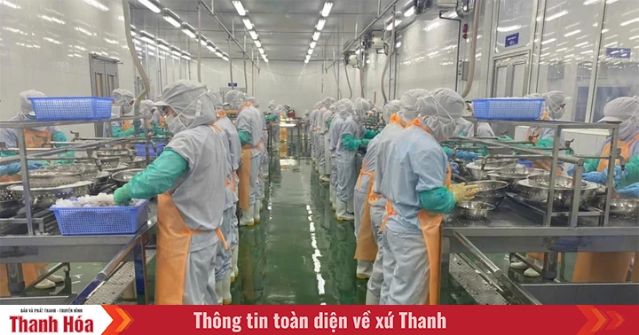 លើក​កម្ពស់​តម្លៃ​គ្រឿង​សមុទ្រ​សាមសុង