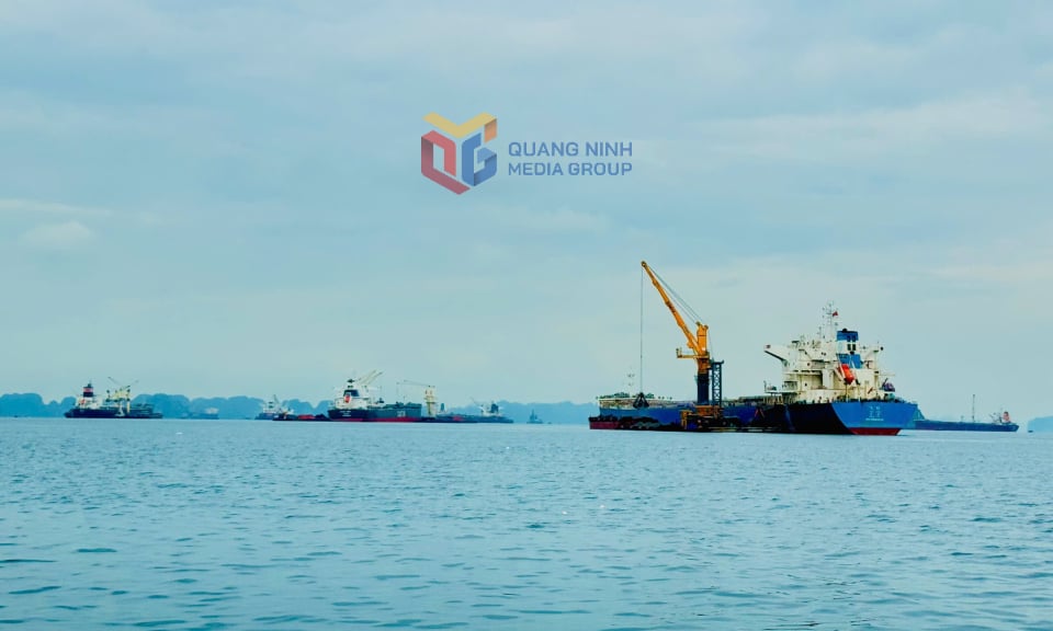 Hoạt động bốc xúc hàng hóa tại khu vực Cảng Con Ong - Hòn Nét. Ảnh: Mạnh Trường
