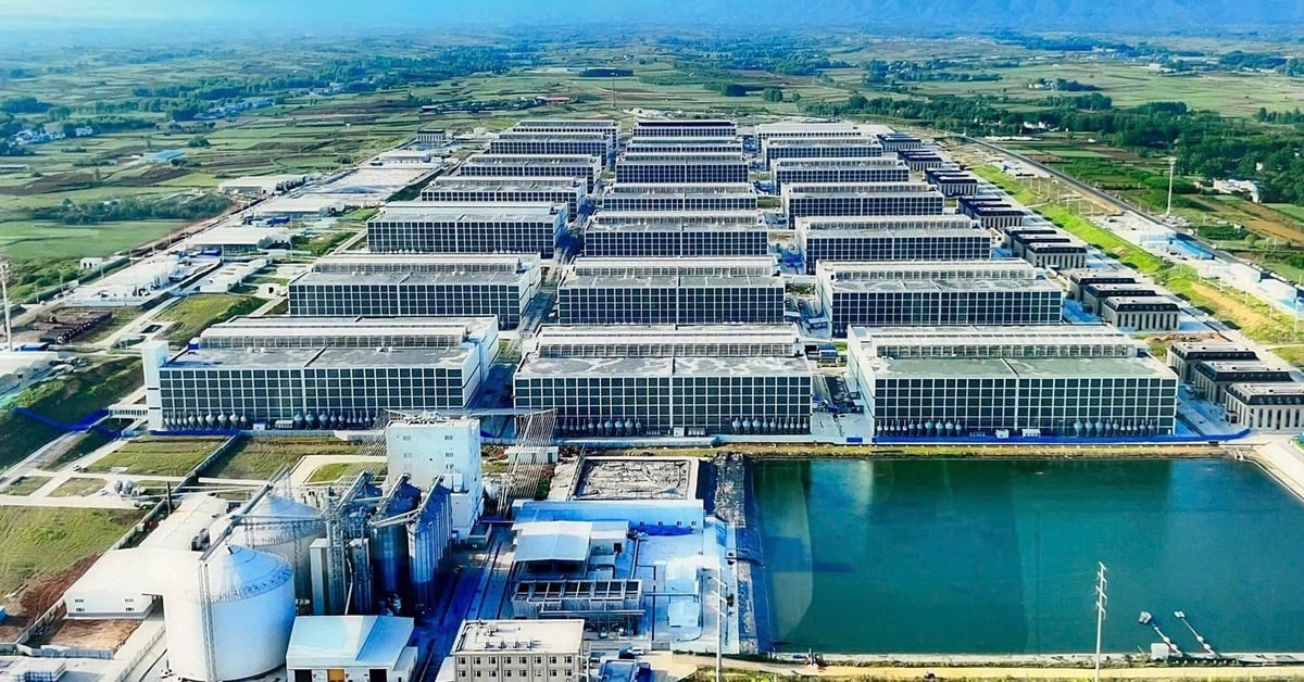 Xin ý kiến Thủ tướng cho làm mô hình 'chung cư nuôi heo' ở Việt Nam