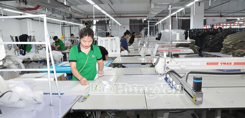 Dây chuyền sản xuất, đèn chiếu sáng, hệ thống làm mát của công ty được sử dụng năng lượng mặt trời.