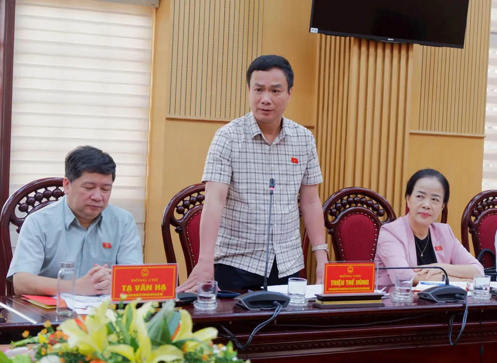 TRIỆU THẾ HÙNG.jpg
