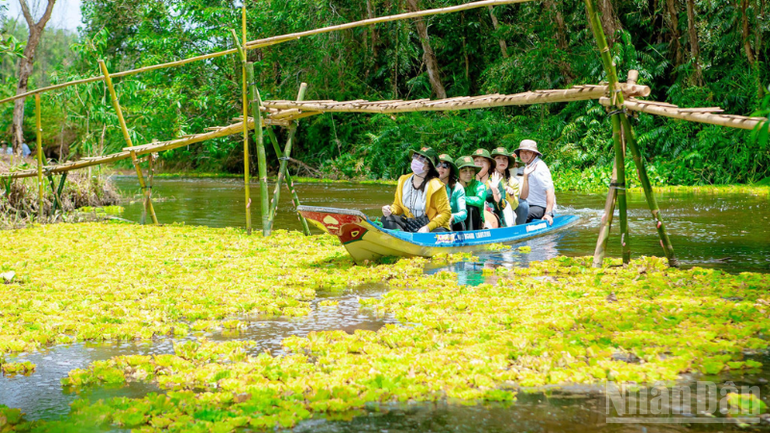 ndo_br_thiet-ke-chua-co-ten-2.png