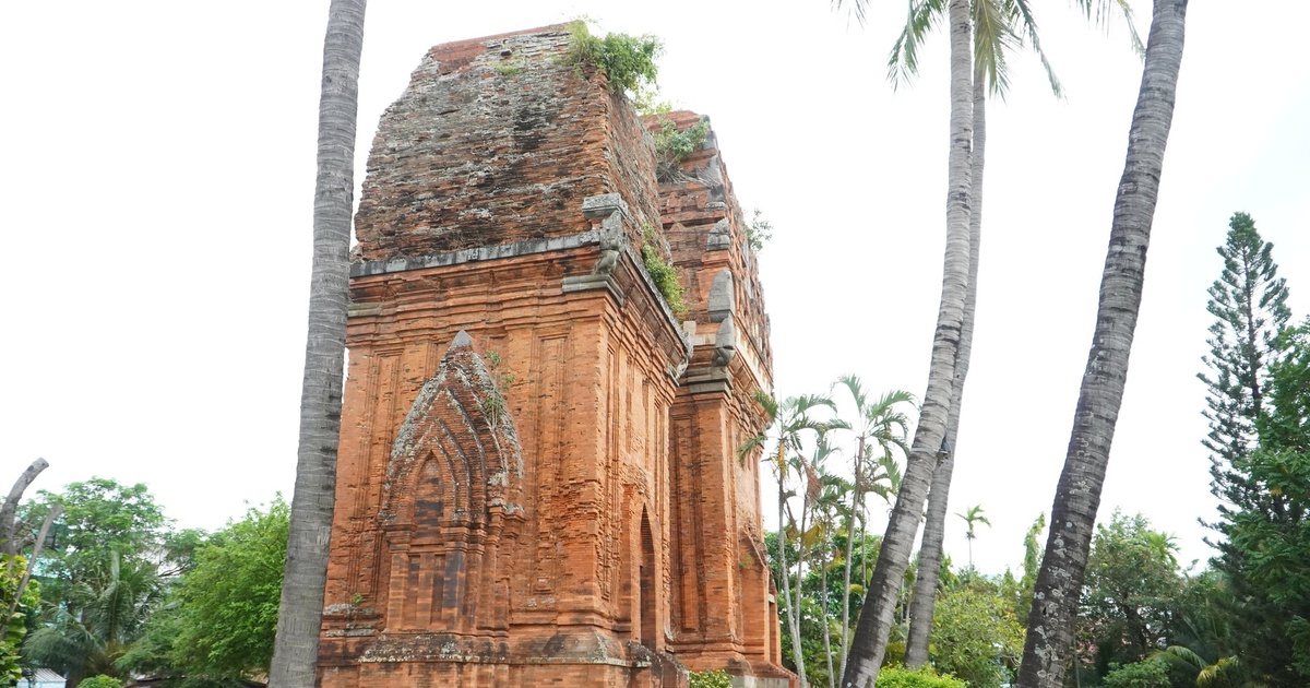 800-year-old Twin Towers defaced: What does the management unit say?