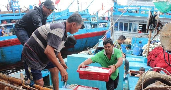 Da Nang completes handling of more than 1,900 '3 no' fishing boats