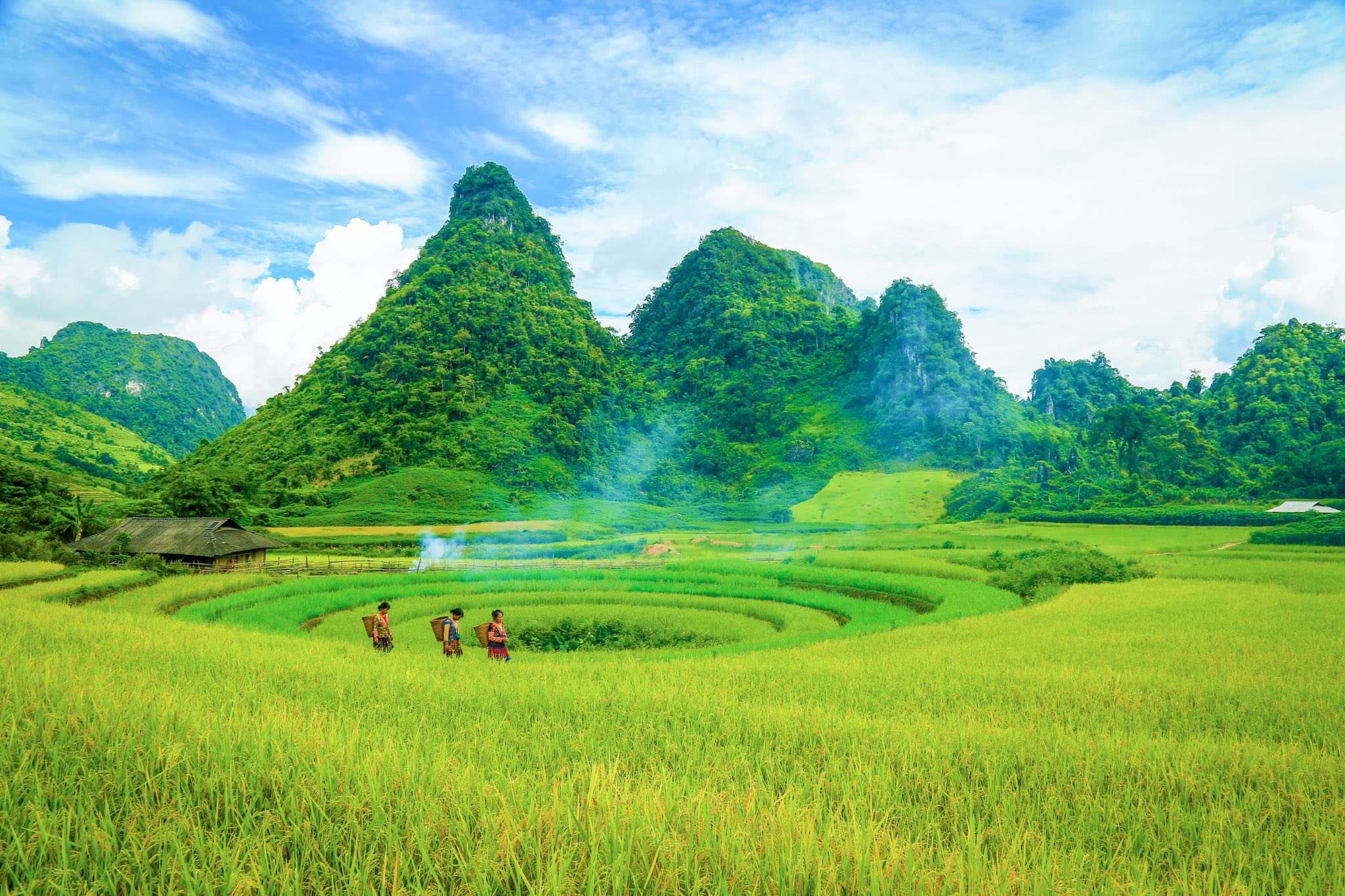 មក Dien Bien ដើម្បីស្វែងយល់ពីសម្រស់ដ៏ស្រស់បំព្រងនៃភាគពាយ័ព្យ