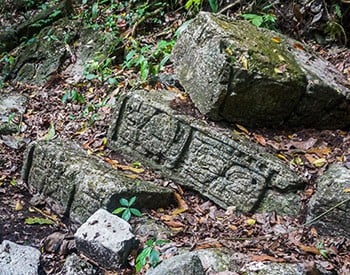 maya-6.jpg