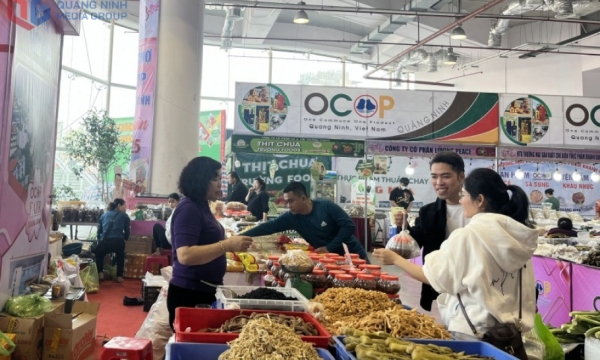 Quang Ninh prévoit d'organiser la foire OCOP associée à l'exposition des réalisations socio-économiques sur 5 ans (2020-2025)