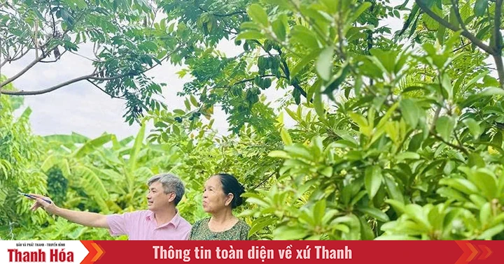 Bảo đảm thông suốt dòng vốn chính sách