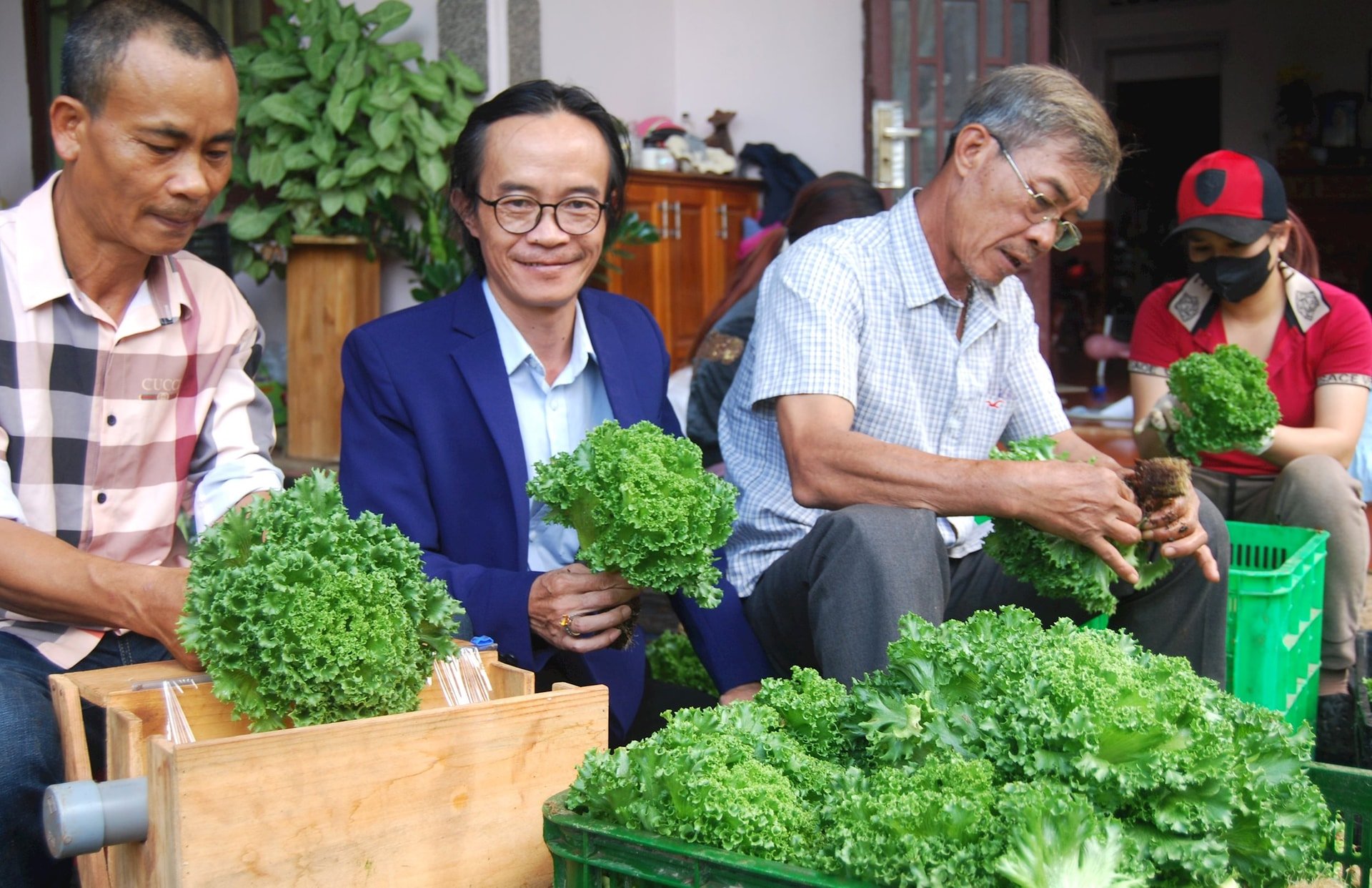 Đầu tư 1.000m2 trồng rau thủy canh hồi lưu hơn 1,2 tỷ đồng, vận hành hơn 18 tháng sẽ thu hồi lại vốn