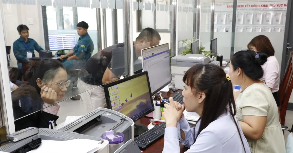 TPHCM khảo sát, đánh giá toàn diện công tác vận hành chính quyền địa phương 2 cấp