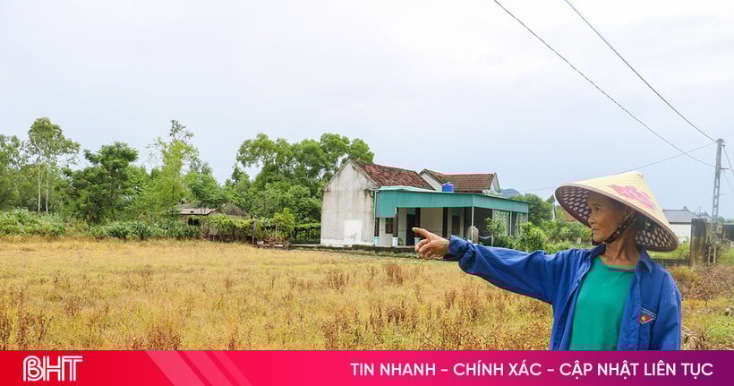 ប្រើថ្នាំសម្លាប់ស្មៅដោយមិនរើសអើង៖ គ្រោះថ្នាក់លើសពីអត្ថប្រយោជន៍!