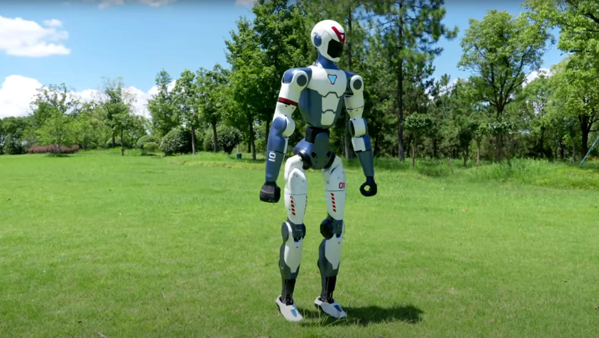 Robot hinh nguoi gia re anh 1