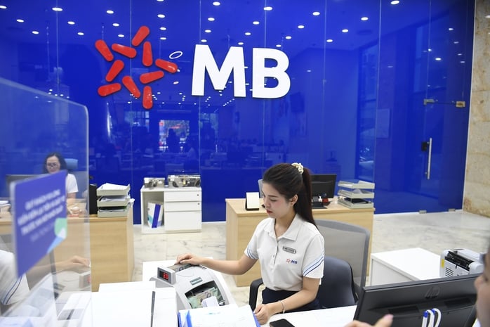Ngân hàng báo lãi ngàn tỉ: Lợi nhuận ngân hàng đến từ đâu trong tăng trưởng tín dụng? - Ảnh 1.