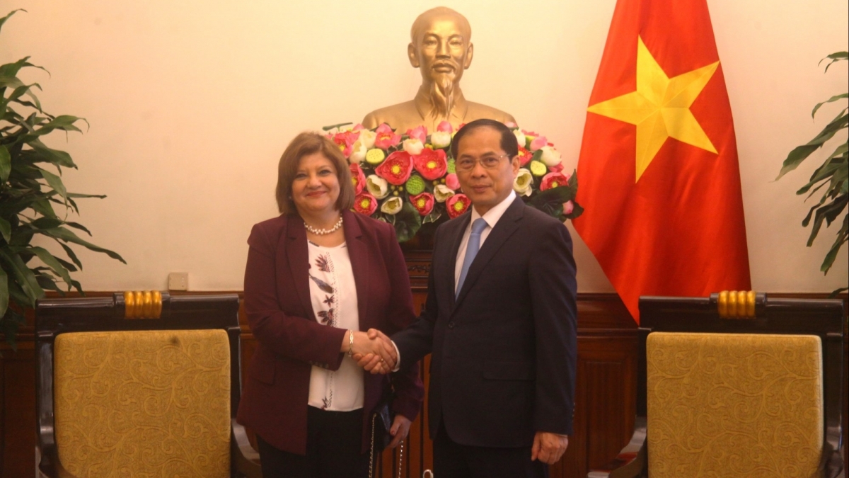 Phó Thủ tướng, Bộ trưởng Ngoại giao Bùi Thanh Sơn tiếp Đại sứ Ai Cập Amal Abdel Kader Elmorsi Salama chào từ biệt