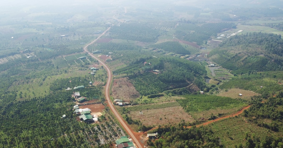 Lam Dong invests in dairy project worth over 8,000 billion VND