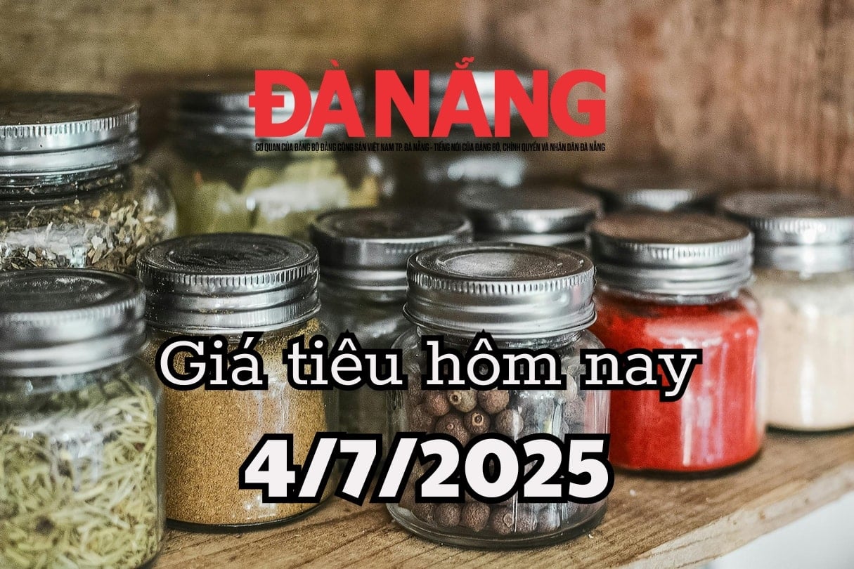 Giá tiêu hôm nay 4 7 2025 Đắk Lắk giữ top đỉnh giá với mức 145.000 đồng kg