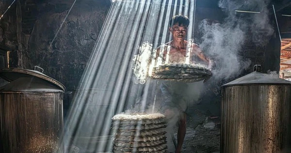 Một bác sĩ TP HCM thắng giải nhiếp ảnh thế giới