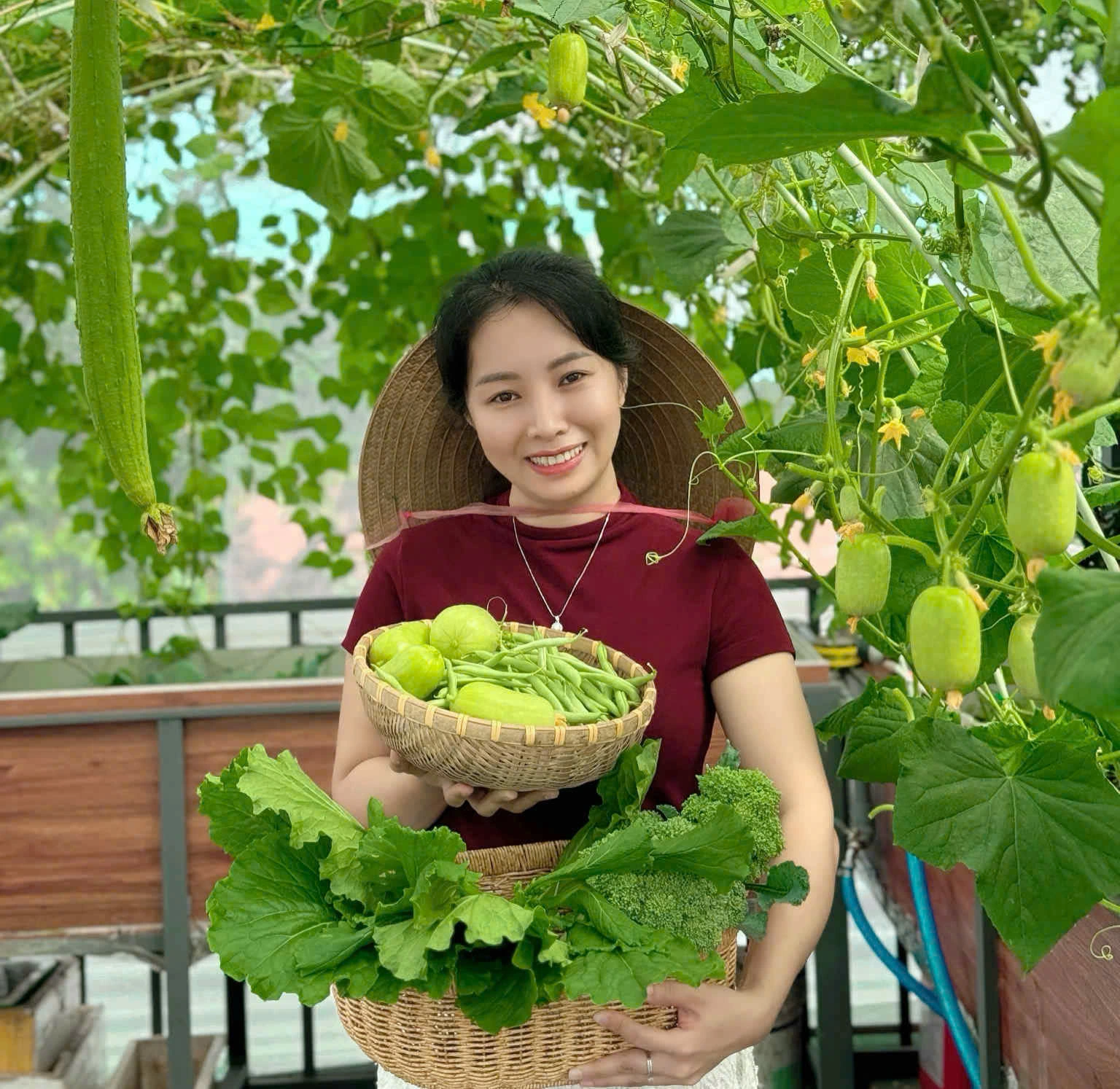 Khu vườn 30 m² xanh mướt với nhiều rau trái sạch của một phụ nữ xinh đẹp