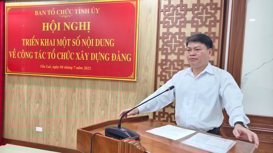 pho-truong-ban-to-chuc-tinh-uy-phan-chi-hung-trien-khai-mot-so-noi-dung-tai-hoi-nghi.jpg