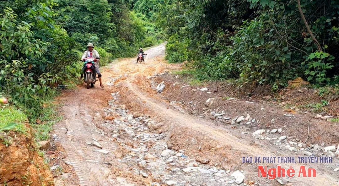 Gian nan đường vào 2 bản Cò Phạt, bản Búng. Ảnh: Nguyễn Nam