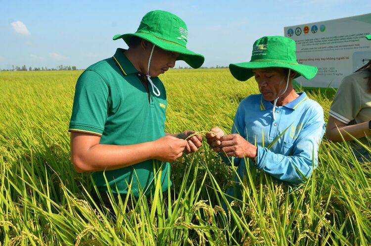 មន្ត្រី​ផ្សព្វផ្សាយ​កសិកម្ម​អមដំណើរ​កសិករ