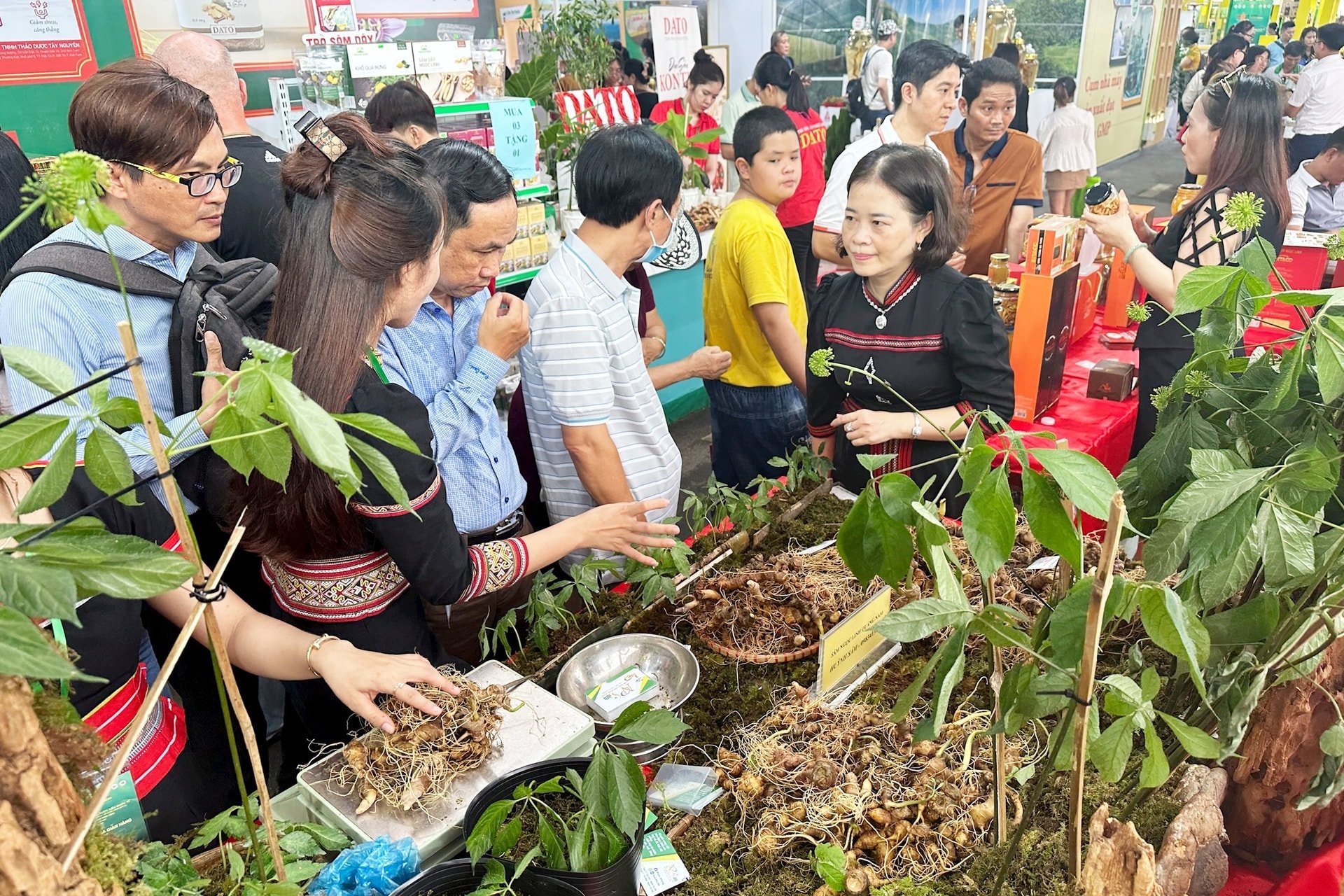 Gian hàng của Quảng Nam tại Lễ hội Sâm và Dược liệu quốc tế TP.Hồ Chí Minh đầu năm 2024 thu hút nhiều khách hàng quan tâm. Ảnh: PHAN VINH