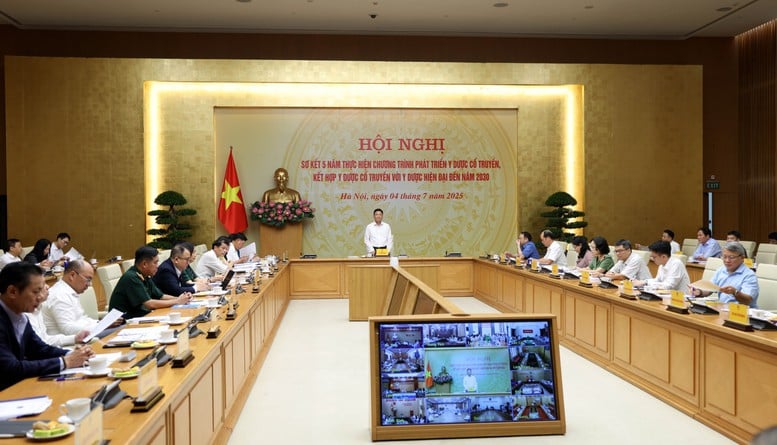Phó Thủ tướng Lê Thành Long: Phải đưa y dược cổ truyền phát triển đúng tầm- Ảnh 5.