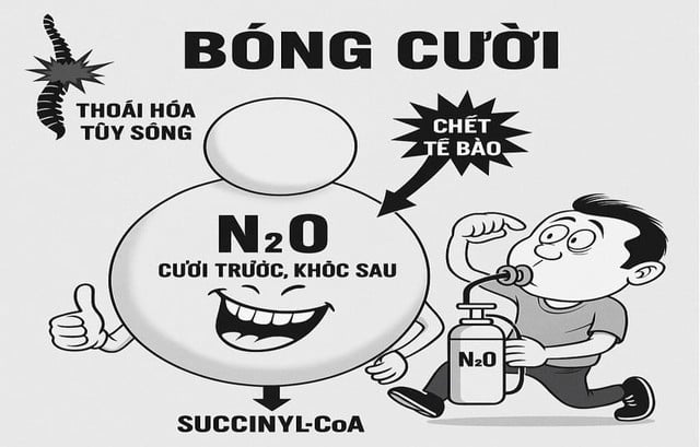 Người đàn ông bất tỉnh trên đường do ngộ độc bóng cười - Ảnh 1.