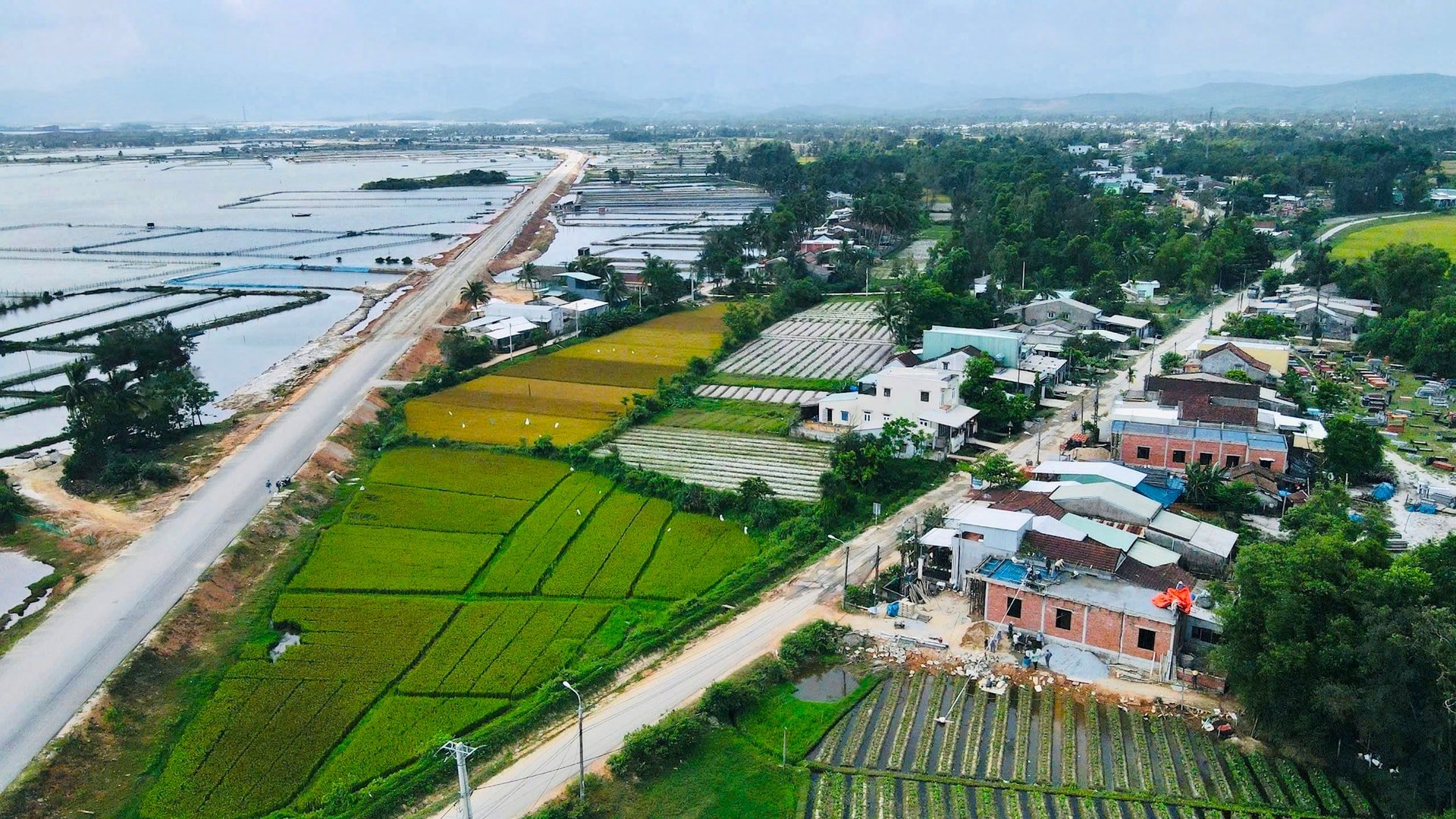 khu phi thuế quan