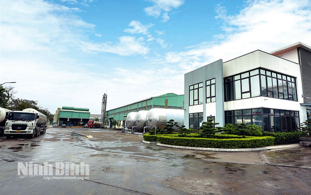 Quang cảnh Nhà máy sản xuất CO2 lỏng tinh khiết, Khu công nghiệp Khánh Phú, phường Đông Hoa Lư. Ảnh: Anh Tuấn