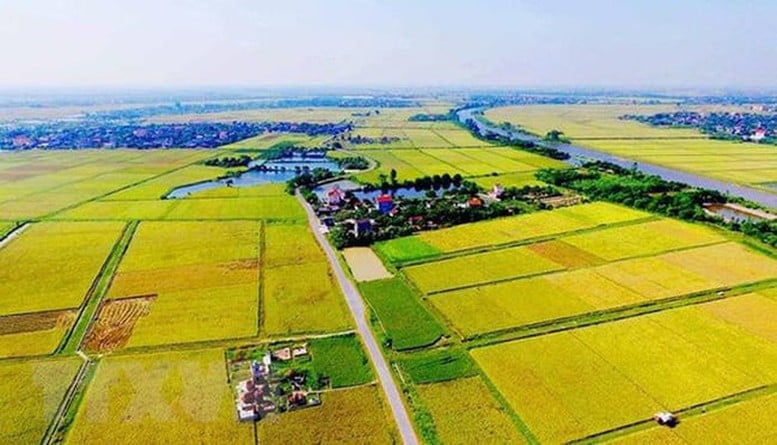 Kéo dài thời hạn miễn thuế sử dụng đất nông nghiệp- Ảnh 1.