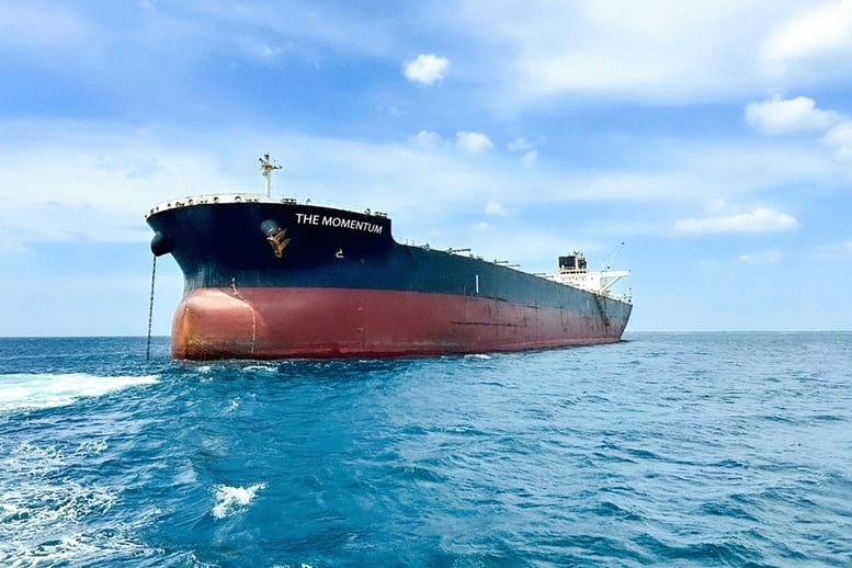 Hòa Phát tiếp nhận tàu hàng rời 110.000 DWT nhằm tăng năng lực chuỗi cung ứng
- Ảnh 1.