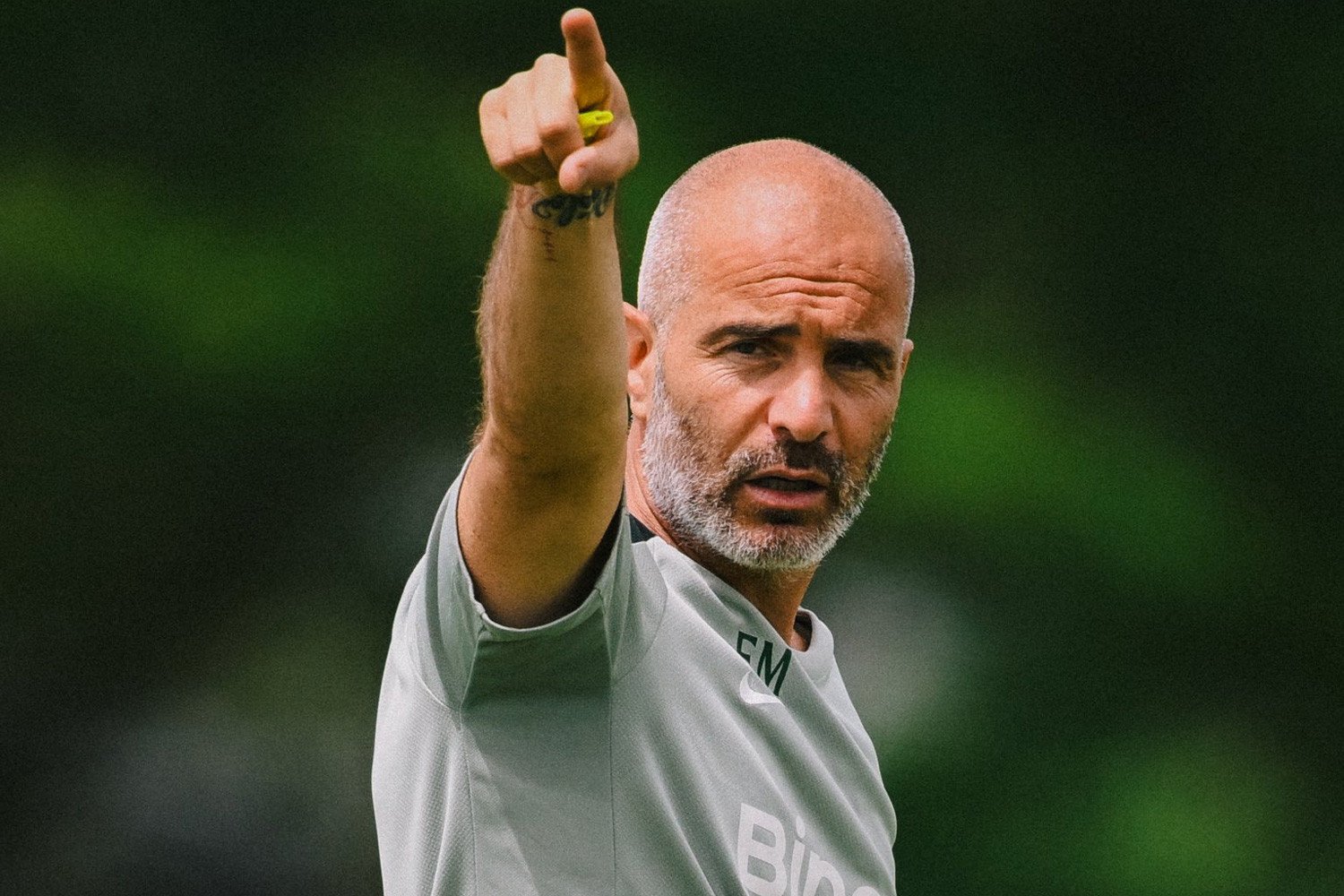 CFC - Enzo Maresca.jpg