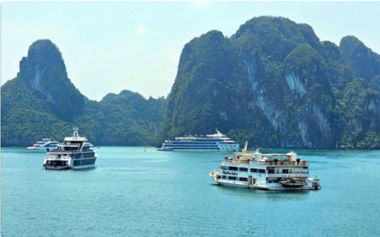 Gìn giữ di sản Vịnh Hạ Long
