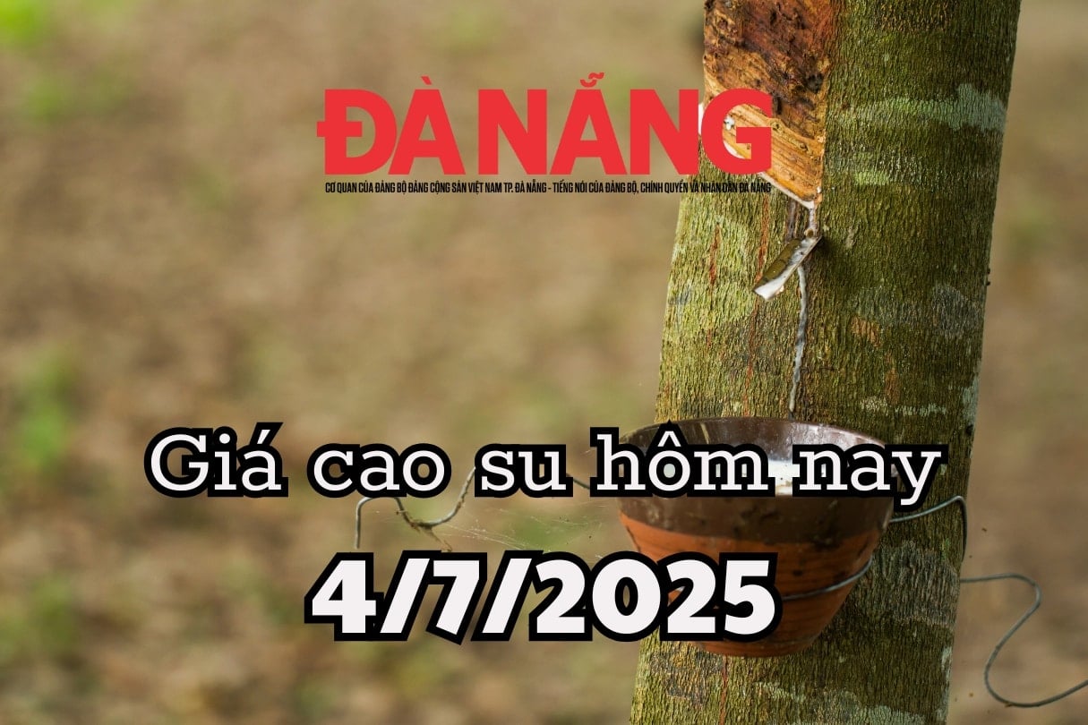 Giá cao su hôm nay 4 7 2025 Mang Yang làm mưa làm gió, Phú Riềng vẫn lì đòn 385 đồng DRC