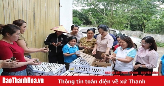 Xây dựng mô hình kinh tế tập thể hướng đến liên kết, phát triển bền vững