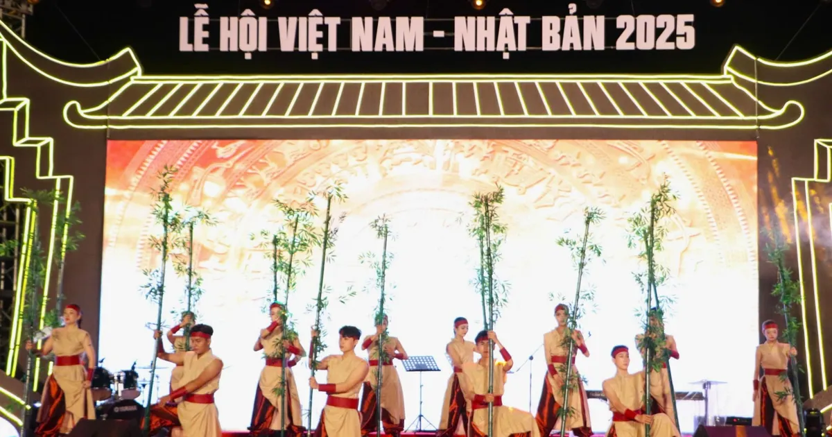Many exciting activities at the 10th Vietnam - Japan Festival
