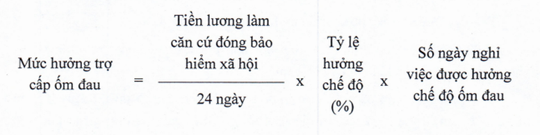 Quy định mới nhất về bảo hiểm xã hội bắt buộc- Ảnh 3.