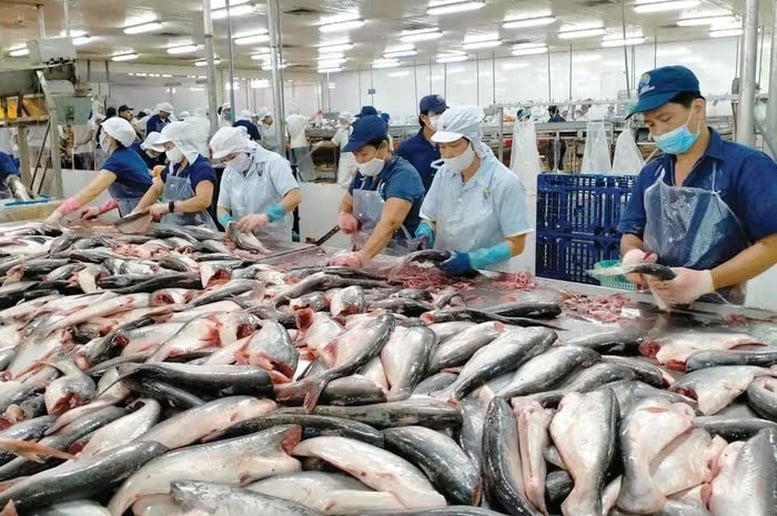 Thắt chặt quan hệ kinh tế - thương mại Việt Nam - Brazil- Ảnh 2.