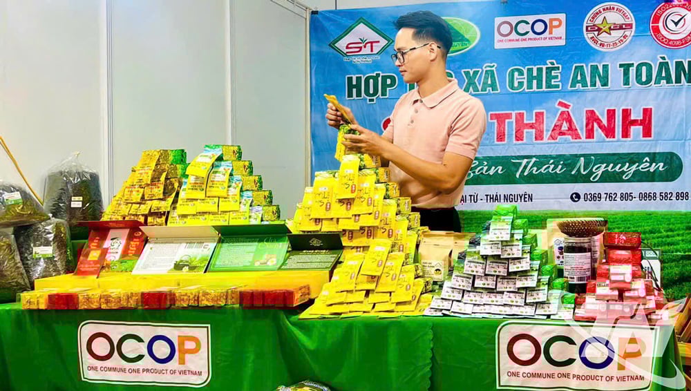 Hợp tác xã chè an toàn Sơn Thành đầu tư công nghệ vào sản xuất và hiện có 4 sản phẩm đạt tiêu chuẩn OCOP 3, 4 sao.